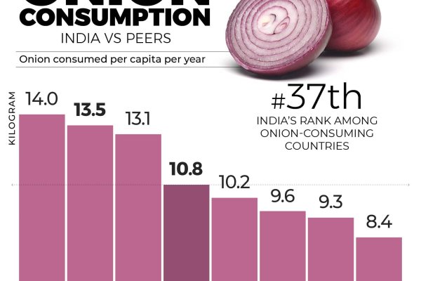 Kraken istand onion